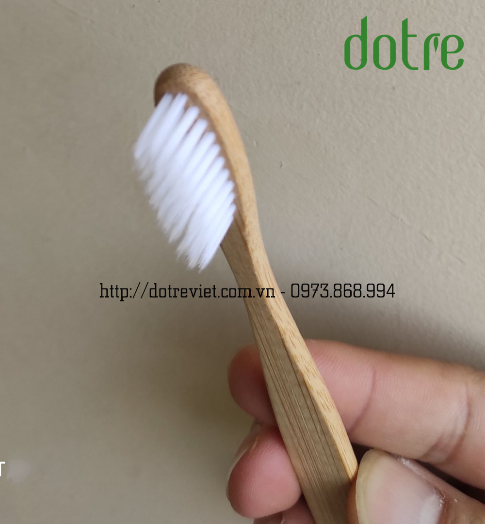 Bàn chải tre - bàn chải đánh răng thân thiện môi trường