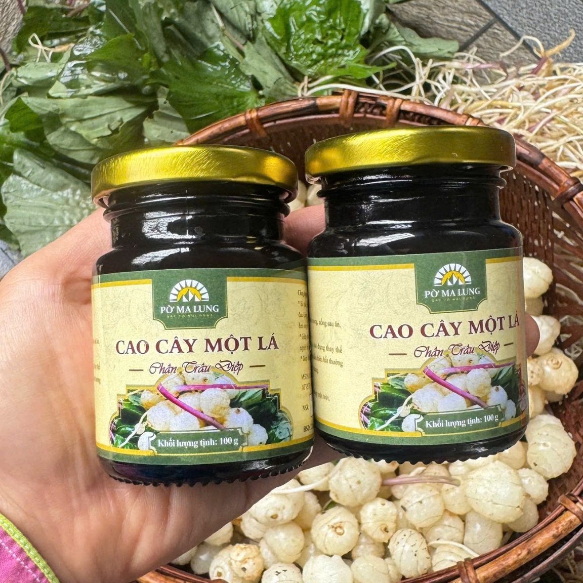 Cao cây một lá (trân châu diệp) nguyên chất Pờ Ma Lung, cao 1 lá giúp bổ phổi, thải độc, giảm ho, hạ sốt