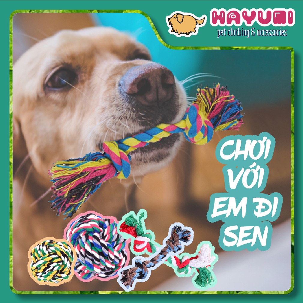 DÂY THỪNG ĐỒ CHƠI DÀNH CHO CHÓ MÈO - ĐỒ CHƠI THÚ CƯNG