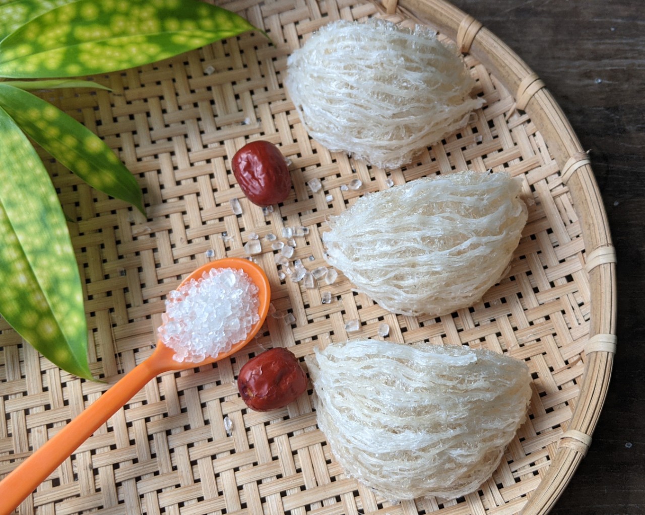 Yến sào tinh chế FRESH NEST loại 1 - Hộp 8G/25G/50G/100G - Tăng cường đề kháng - Món quà Sức khỏe & Sắc đẹp - tặng đường phèn- táo-hạt sen