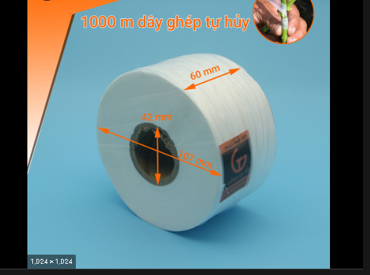 Dây ghép cây tự hủy 1000m khổ 6cm