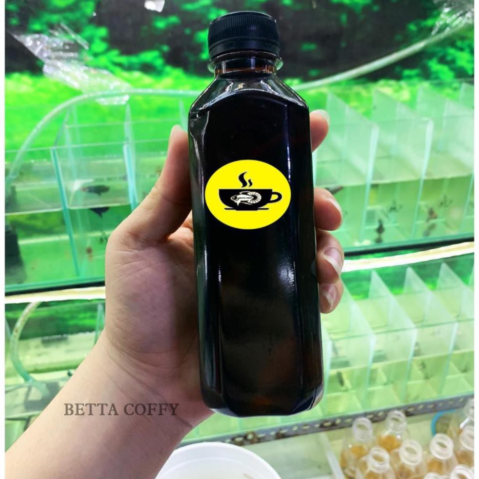 Nước cốt lá bàng nguyên chất - giúp cá sung + khỏe mạnh