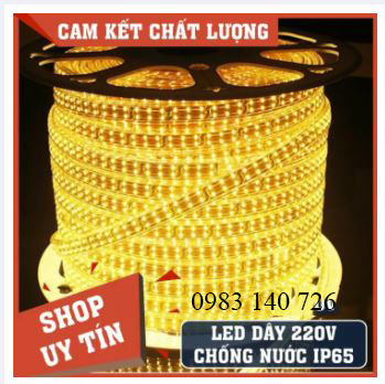Đèn LED dây quấn cây ngoài trời, hắt trần thạch cao 2835 - Siêu sáng - chống nước