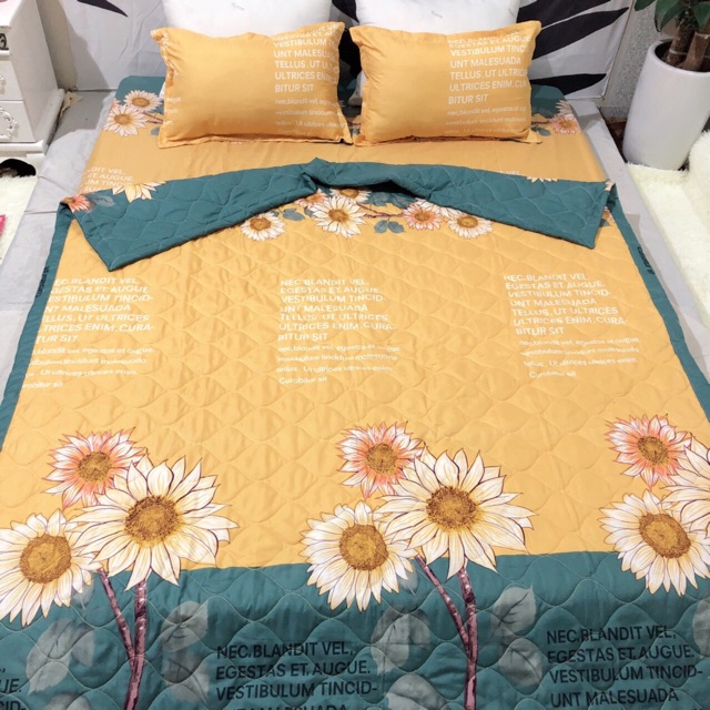 Bộ chăn ga cotton poly hướng dương 1m6 x 2m
