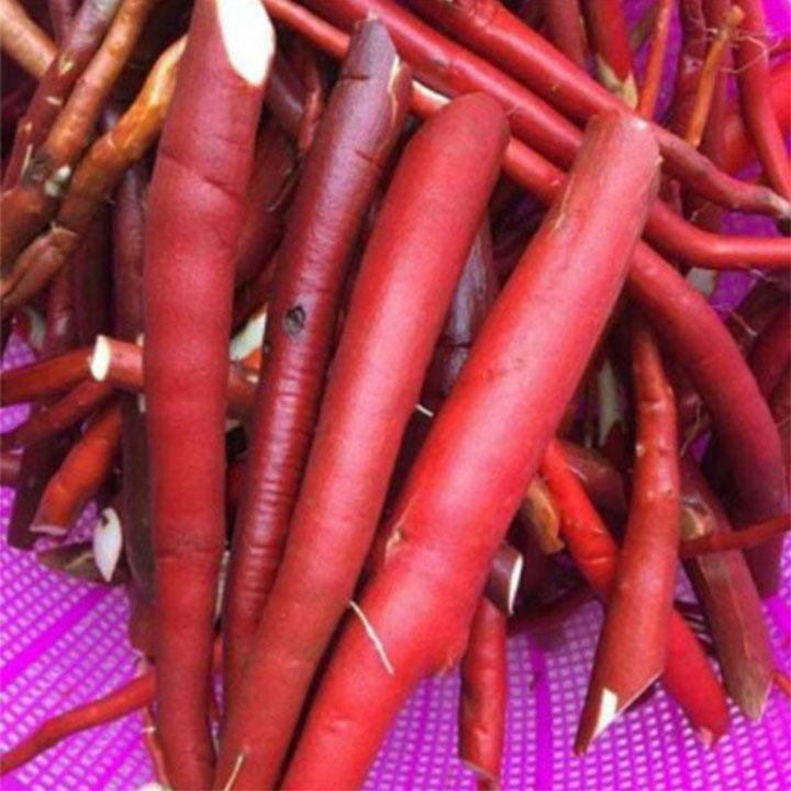 sâm cau đỏ tươi 1kg