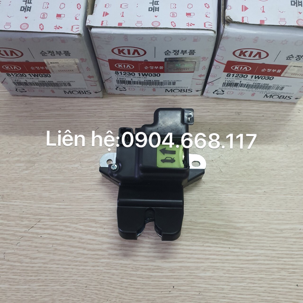 ổ khóa ngậm cốp sau kia Rio (hàng xịn )