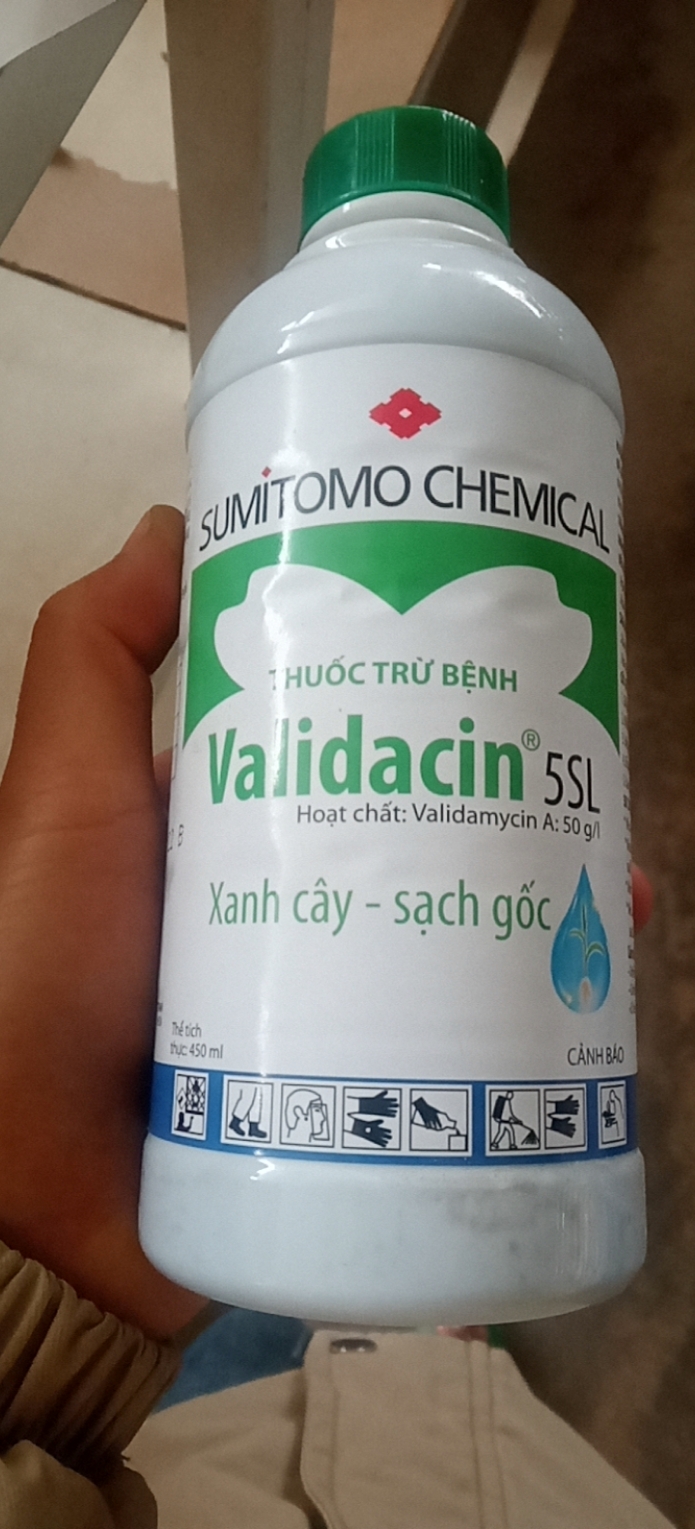 Thuốc trừ bệnh validacin 5sl thể tích 450ml trừ các bệnh về nấm như thán thư, mốc sương, rĩ sắt...