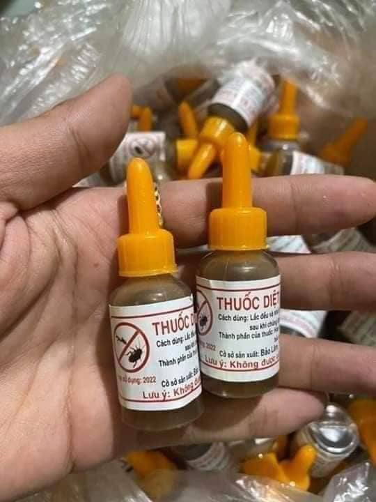 Thuốc diệt kiến gián hiệu quả, an toàn cho mọi nhà