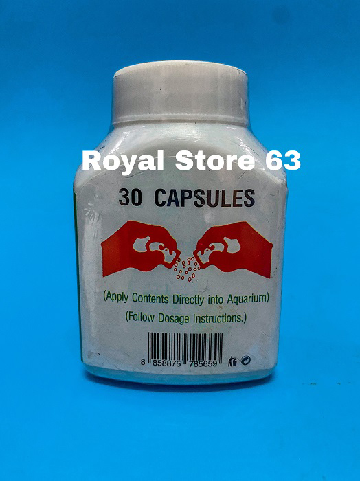Fungazol Cure Capsules vấn đề nấm trắng cho cá cảnh Thái Lan 30 viên