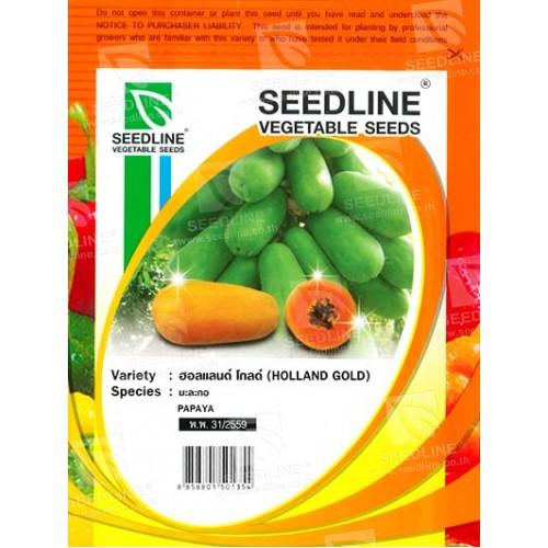 HẠT GIỐNG ĐU ĐỦ SIÊU TRÁI THÁI LAN _GÓI 20 HẠT .