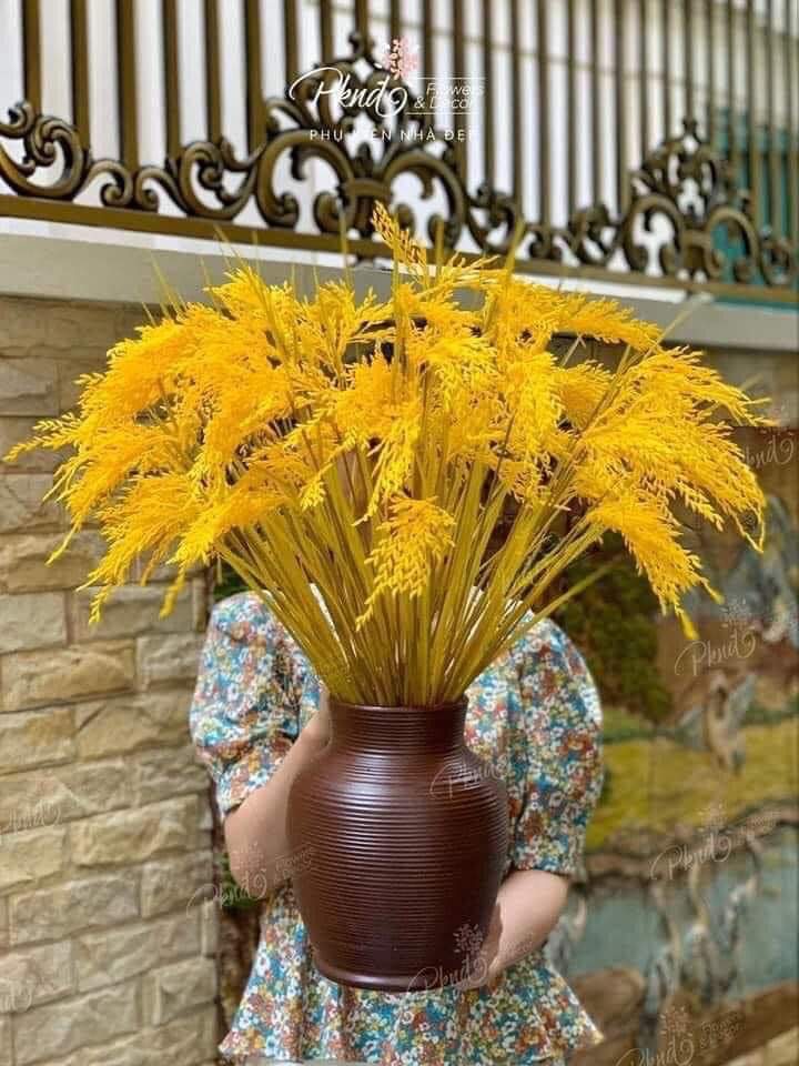 🌾🌾🌾 BÔNG LÚA MẠCH VÀNG CHƯNG NGÀN NĂM,100 bông Vừa RẺ vừa ĐẸP lại vừa SANG !!! chưng ngàn năm sau vẫn chưa tàn!!! Bông lúa mạch biểu tượng cho sự ấm no đầy đủ, màu vàng biểu hiện cho sự giàu sang phú quý. Cắm 1 lọ trong nhà