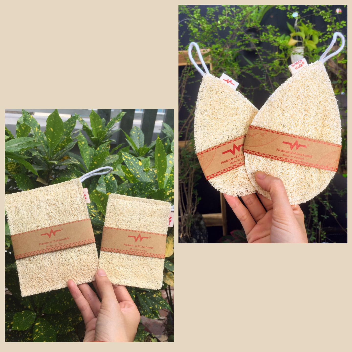 Miếng rửa bát xơ mướp Vi Lâm