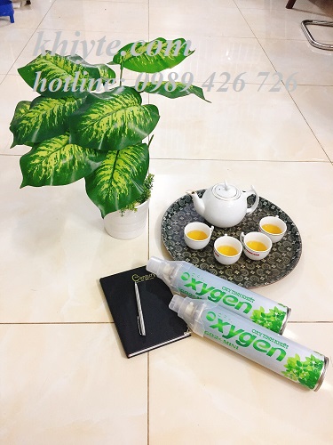 Bình Oxy mini cầm tay SG 02