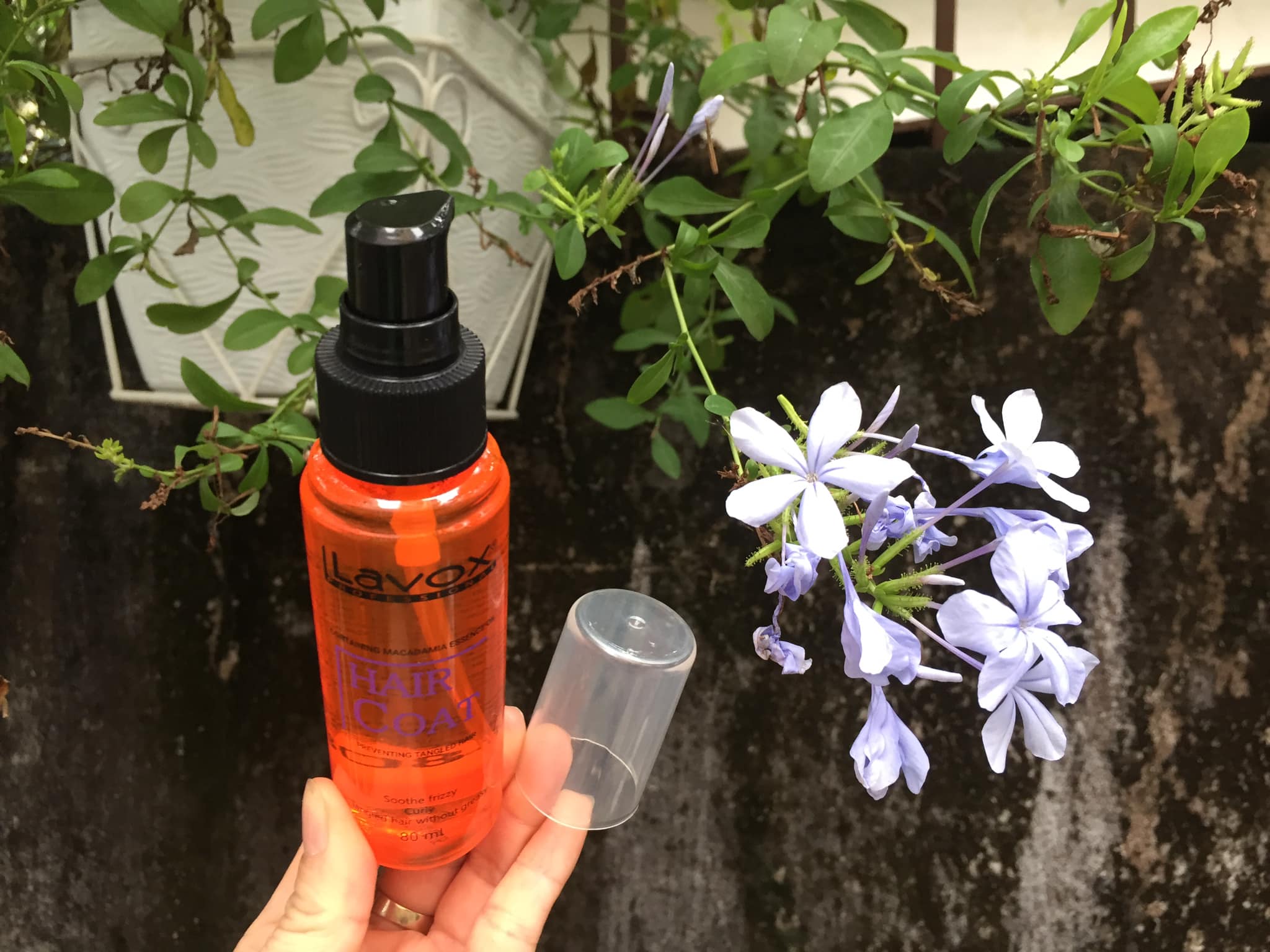Chai xịt Dầu bóng tóc Lavox 80 ml