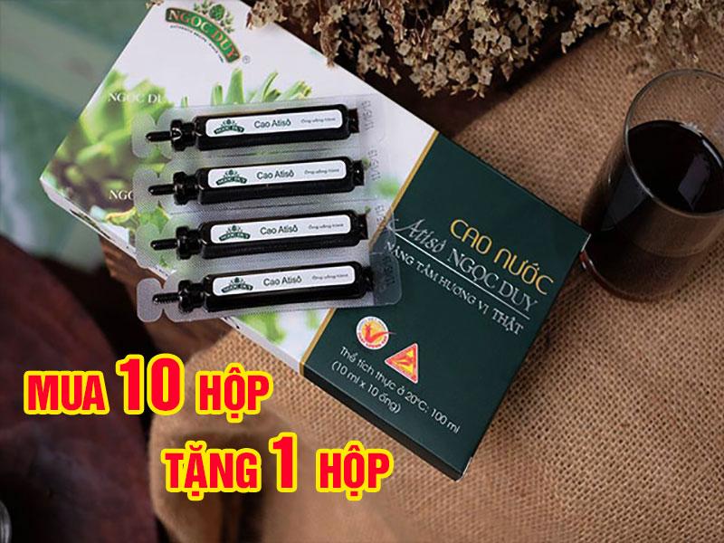 KHUYẾN MÃI Mua 10 tặng 1 Cao Nước Atiso Ngọc Duy