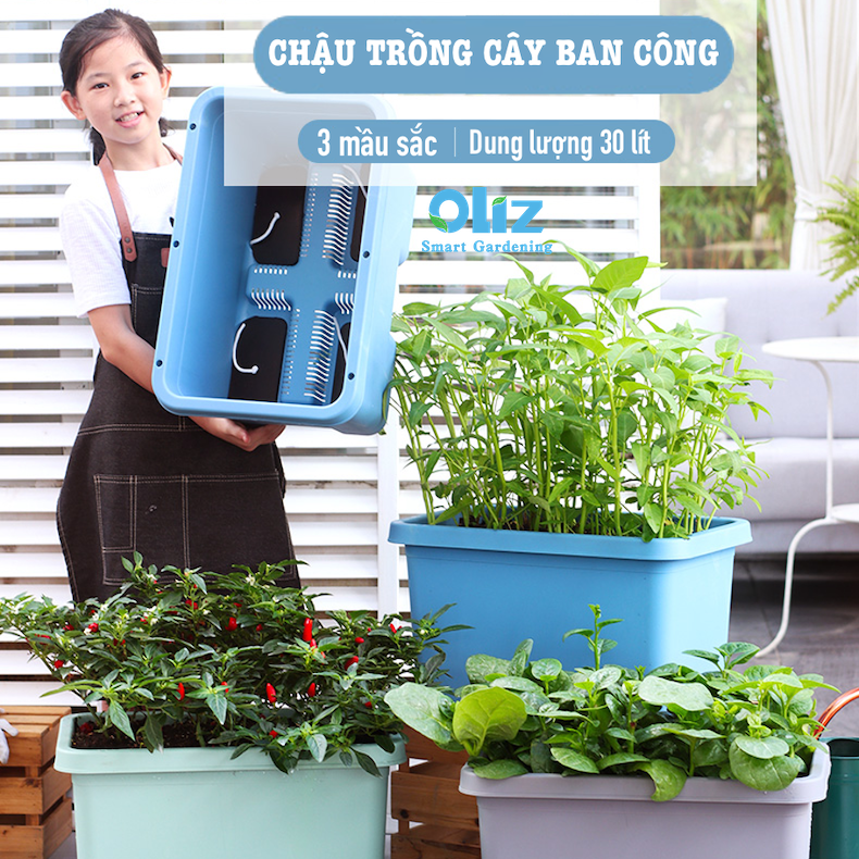 Chậu trồng rau thông minh Oliz D204 - Chậu trồng cây tự tưới