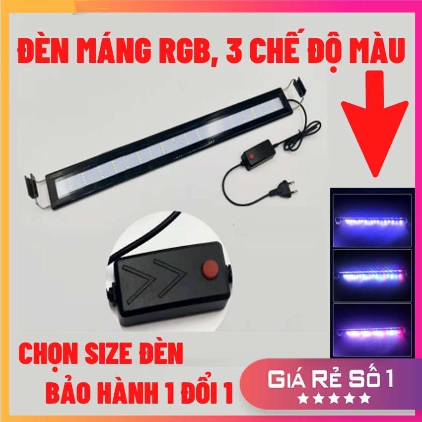 Đèn bể cá ĐỔI MÀU 3 chế độ sáng cho bể cá cảnh, hồ cá thủy sinh từ 20-70cm
