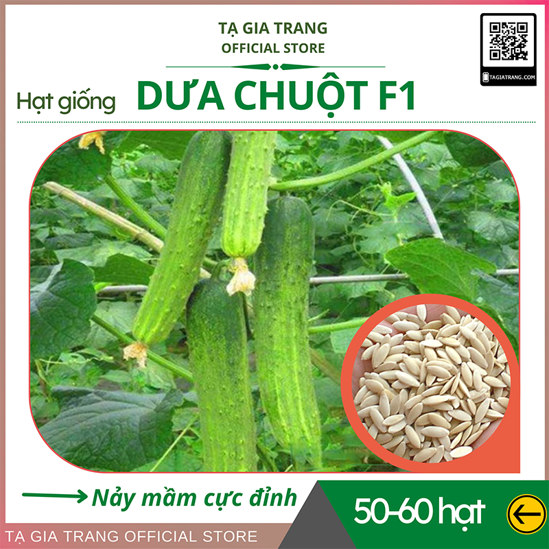 Hạt giống dưa chuột F1 cao sản - Shop hạt giống Tạ Gia Trang