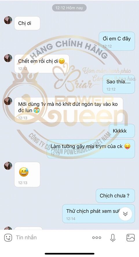 Hộp 10 viên đặt thảo mộc se khít Briar ( chính hãng)