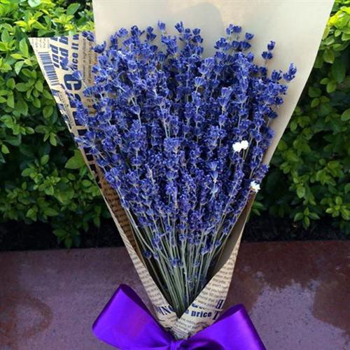 Bó hoa Lavender - Oải Hương khô làm quà tặng