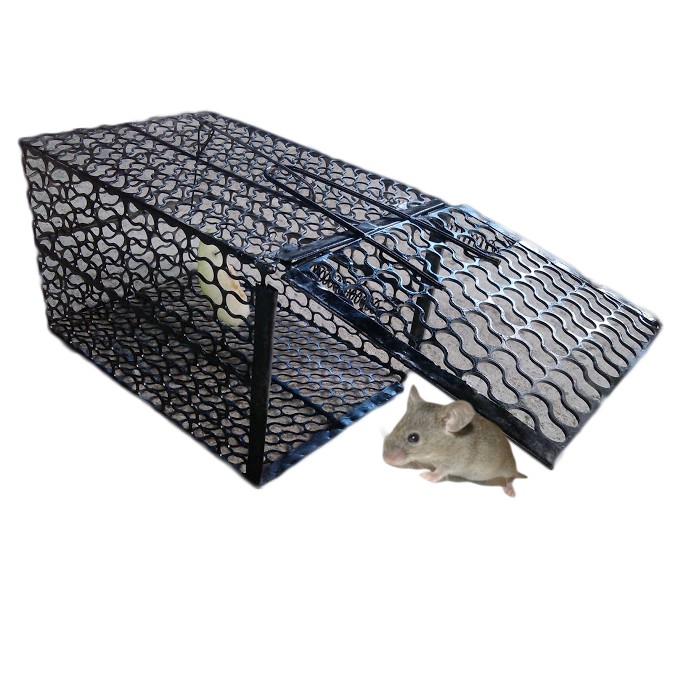 Bẫy Chuột Lồng Bằng Thép Hình hộp Có Thể Tái Sử Dụng Rất Tiện Lợi, Kích Thước To