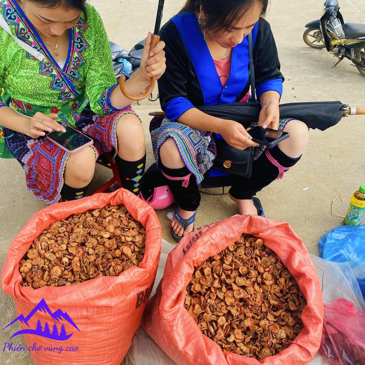 Táo mèo khô Tây Bắc 1kg loại 1 , táo mèo sấy khô ngâm rượu khô thơm chuẩn táo rừng. Quả Sơn tra, Sơn trà khô, thái lát