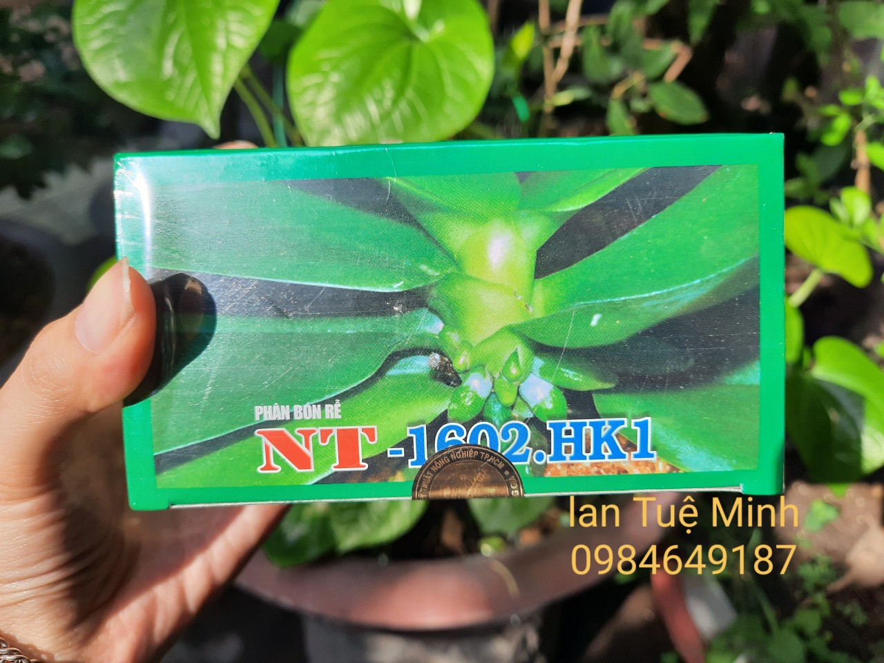 (Hộp 20 túi)Phân bón rễ dạng túi lọc NT-1602 HK1 cho lan và cây cảnh (giai đoạn cây con đến cây trưởng thành)