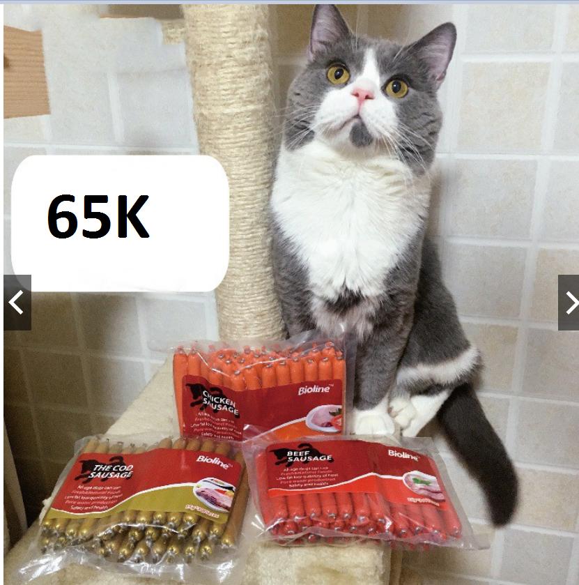 Thức Ăn Dinh Dưỡng Xúc Xích Vị Thịt Bò Mực Gà Cho CHÓ MÈO Thú Cưng Bioline 450g 30 CÂY