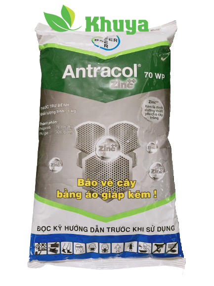 Thuốc trừ bệnh Antracol 70WP Kg