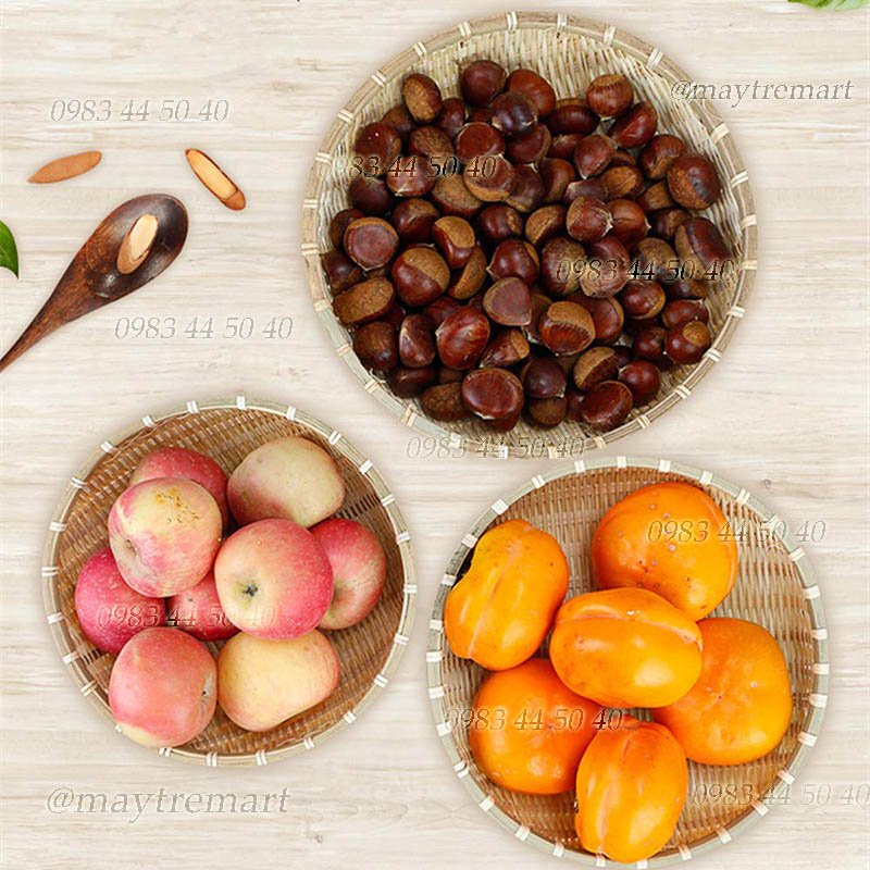 Rá tre mini -trang trí decor, chụp ảnh