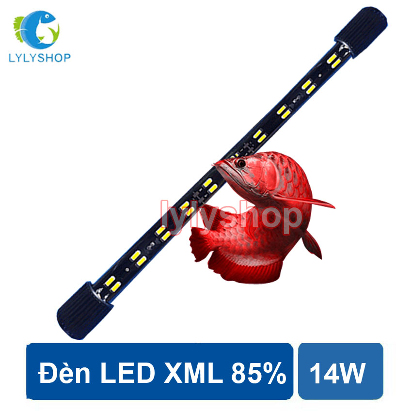 Đèn LED XML 85%  cho hồ bể cá rồng 80cm - 1m, dài 80cm, 2 hàng, ánh sáng vàng