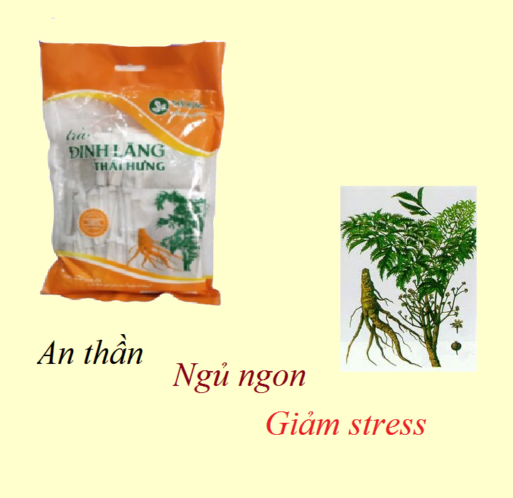 Trà Đinh Lăng THÁI HƯNG - Bịch 50 túi lọc 5g - An thần, ngủ ngon