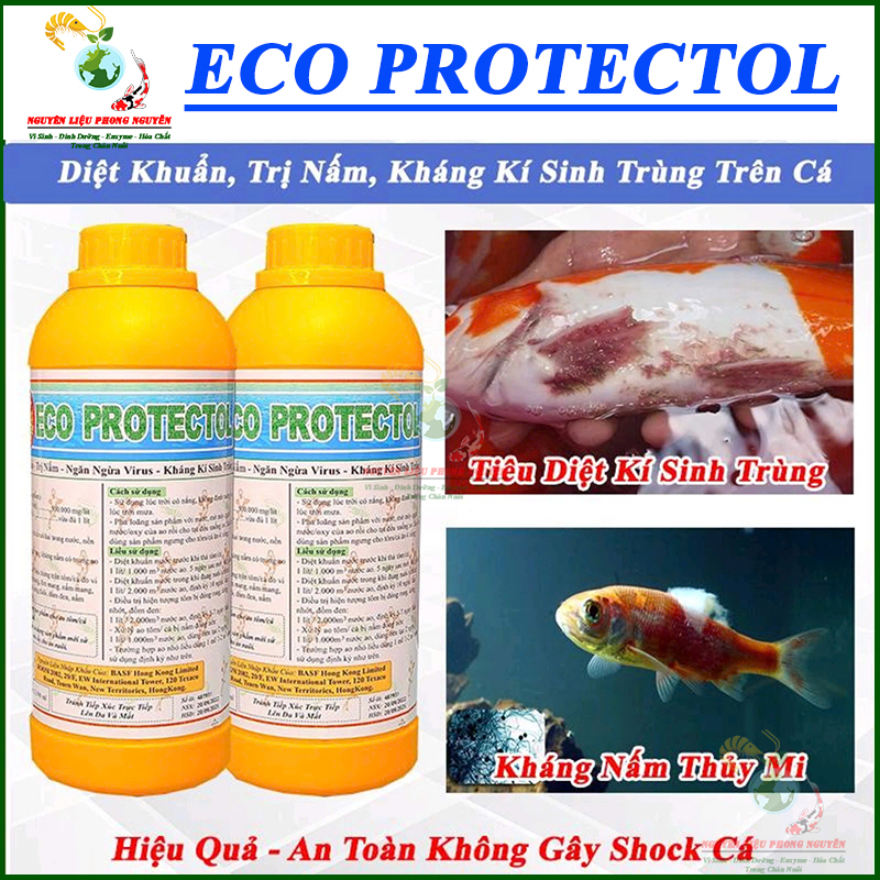 Thuốc Trị Nấm Cá, Diệt Khuẩn, Ghẻ Lở, Xuất Huyết An toàn Chống Sốc, Protectol 1000ml