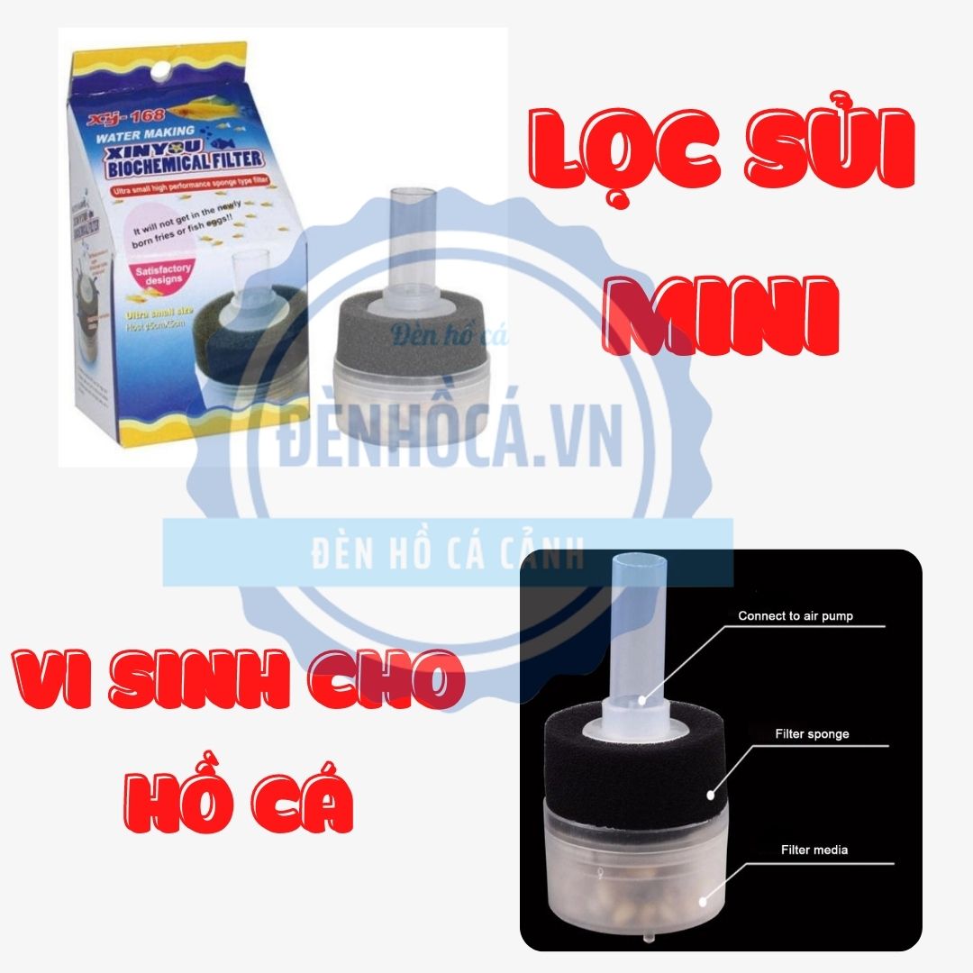 Lọc sủi vi sinh mini cho hồ cá