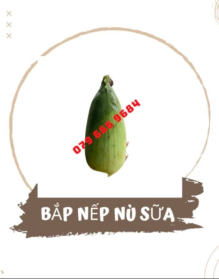 Hạt giống bắp nù sữa dẻo gói 1kg chính hãng