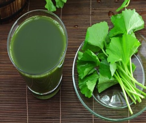 Hạt giống rau má Phú Nông - gói 1gr