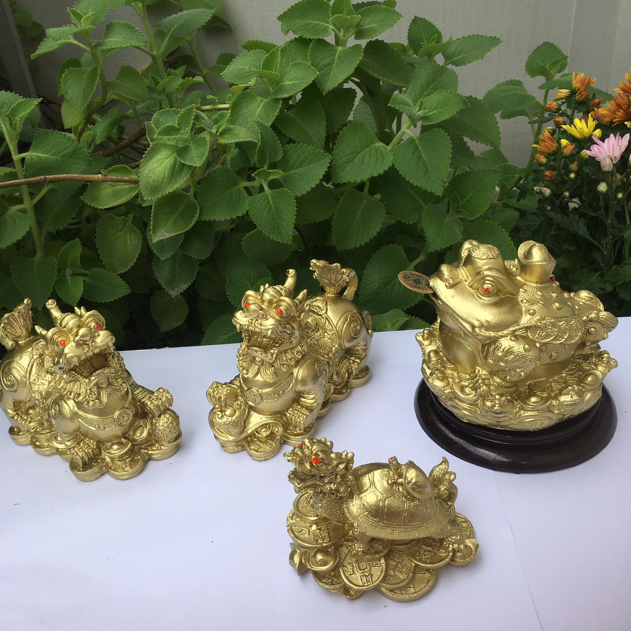 Combo cặp tỳ hưu - cóc ngậm tiền - long quy zize lớn màu vàng sơn đồng giá rẻ mang tài lộc cho mọi người