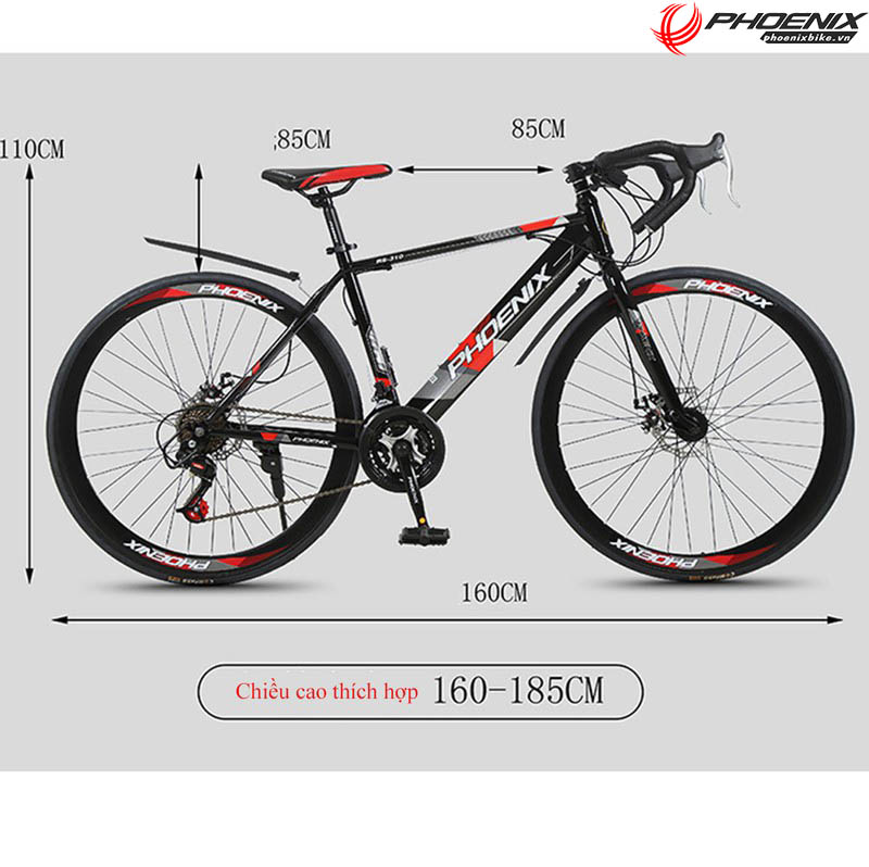 Xe đạp đua Phoenix T100 vành căm vành đúc 2022
