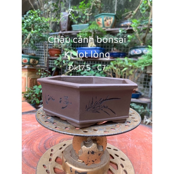 Chậu gốm tàu chậu trồng cây bonsai mini