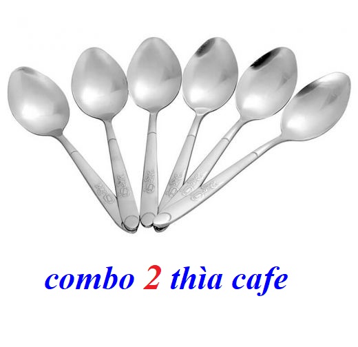 COMBO 2 thìa cà phê cán hoa inox