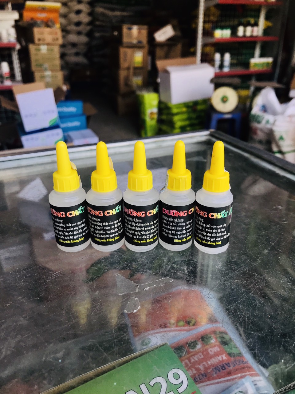Dưỡng chất AB - Nuôi dưỡng mầm hoa lan (10ml) Phục hồi mầm cây