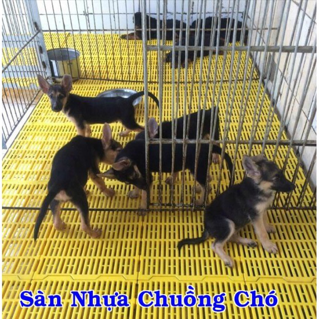 Lót sàn chuồng chó,mèo,gà,lợn chất liệu nhựa nguyên sinh cao cấp siêu bền dễ sử dụng Phụ kiện thú cưng Kabosa