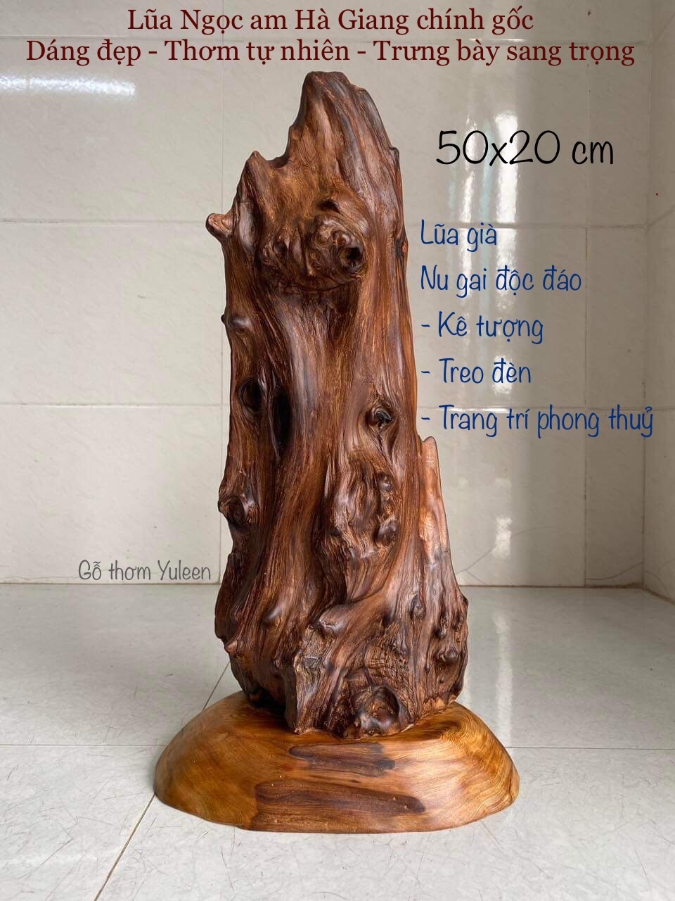 Lũa Ngọc Am Hà Giang, gỗ ngọc am đỏ phong thuỷ, lũa gỗ đẹp, xông trầm, gỗ thơm để bàn, trang trí trưng bày sang trọng. Gỗ thơm Yuleen