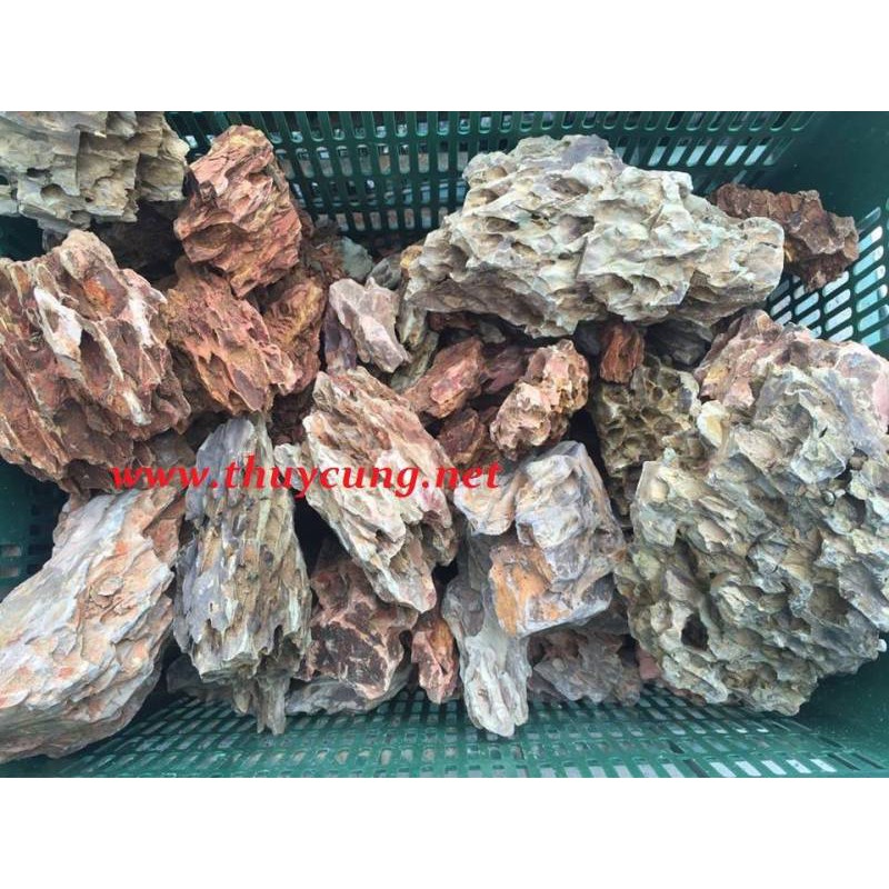 Đá tiger trang trí bể cá 1kg Thủy Cung