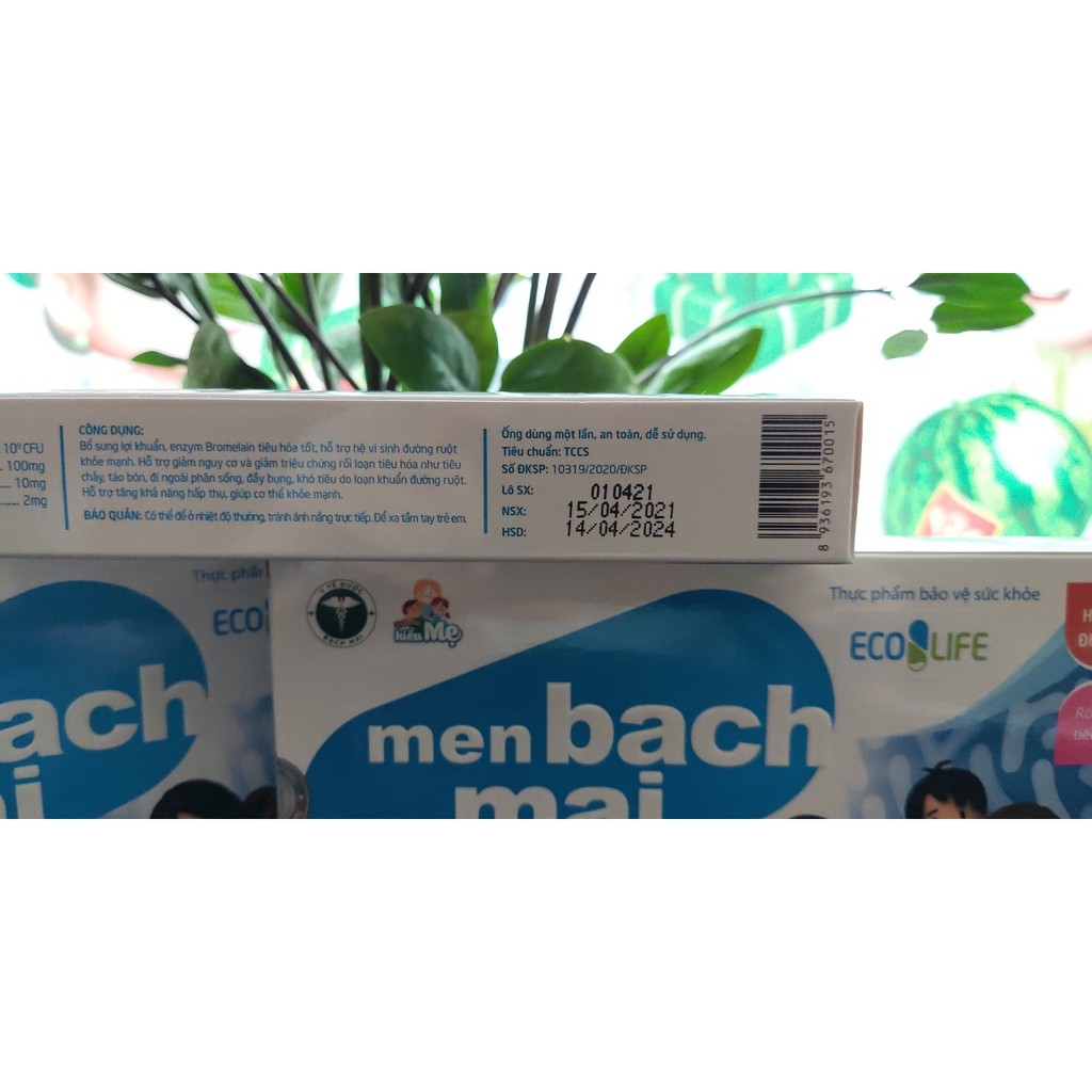 Men vi sinh bạch mai