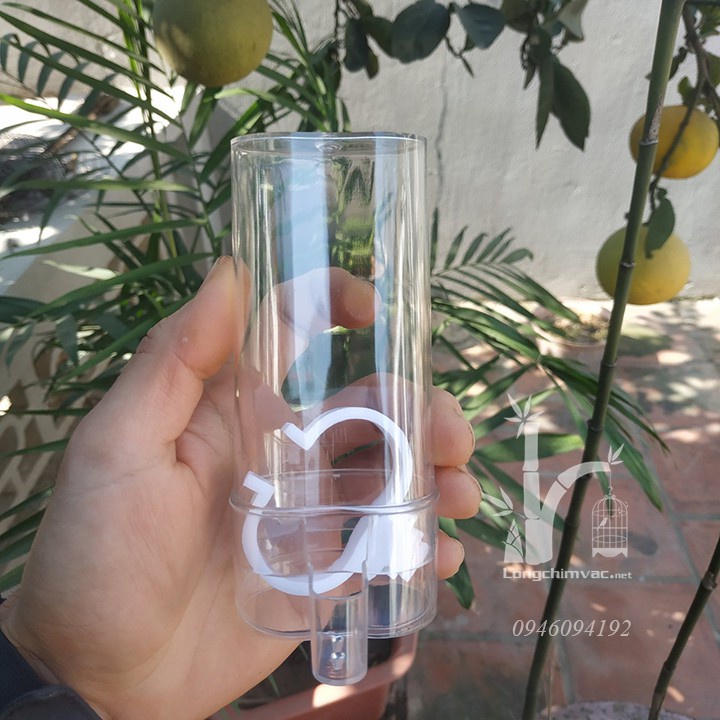 Bình nước cho chim bình nước tự động cho vẹt bình uống cho chim cóng nước cho chim