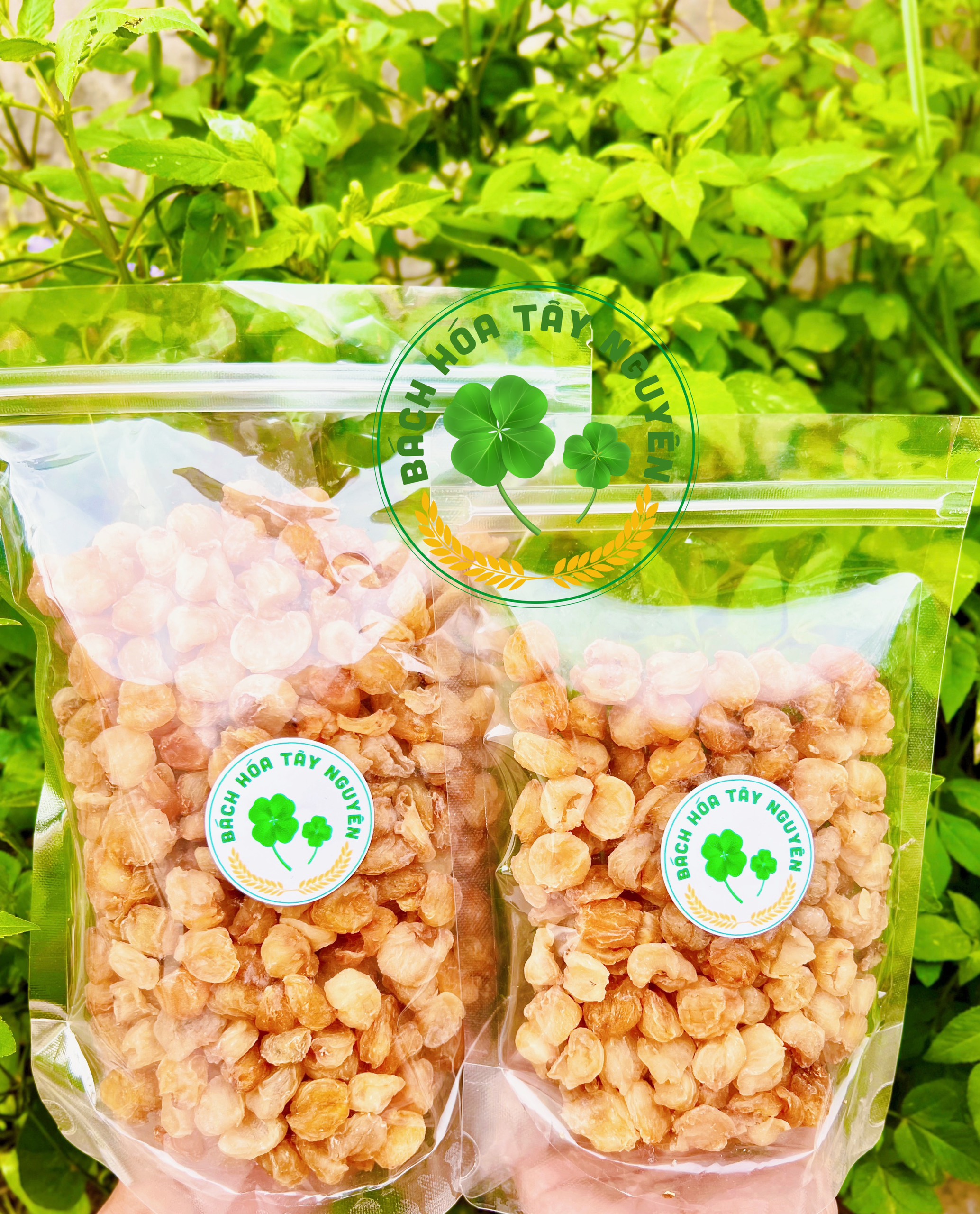 Long nhãn sấy khô hưng yên 500gr loại 1
