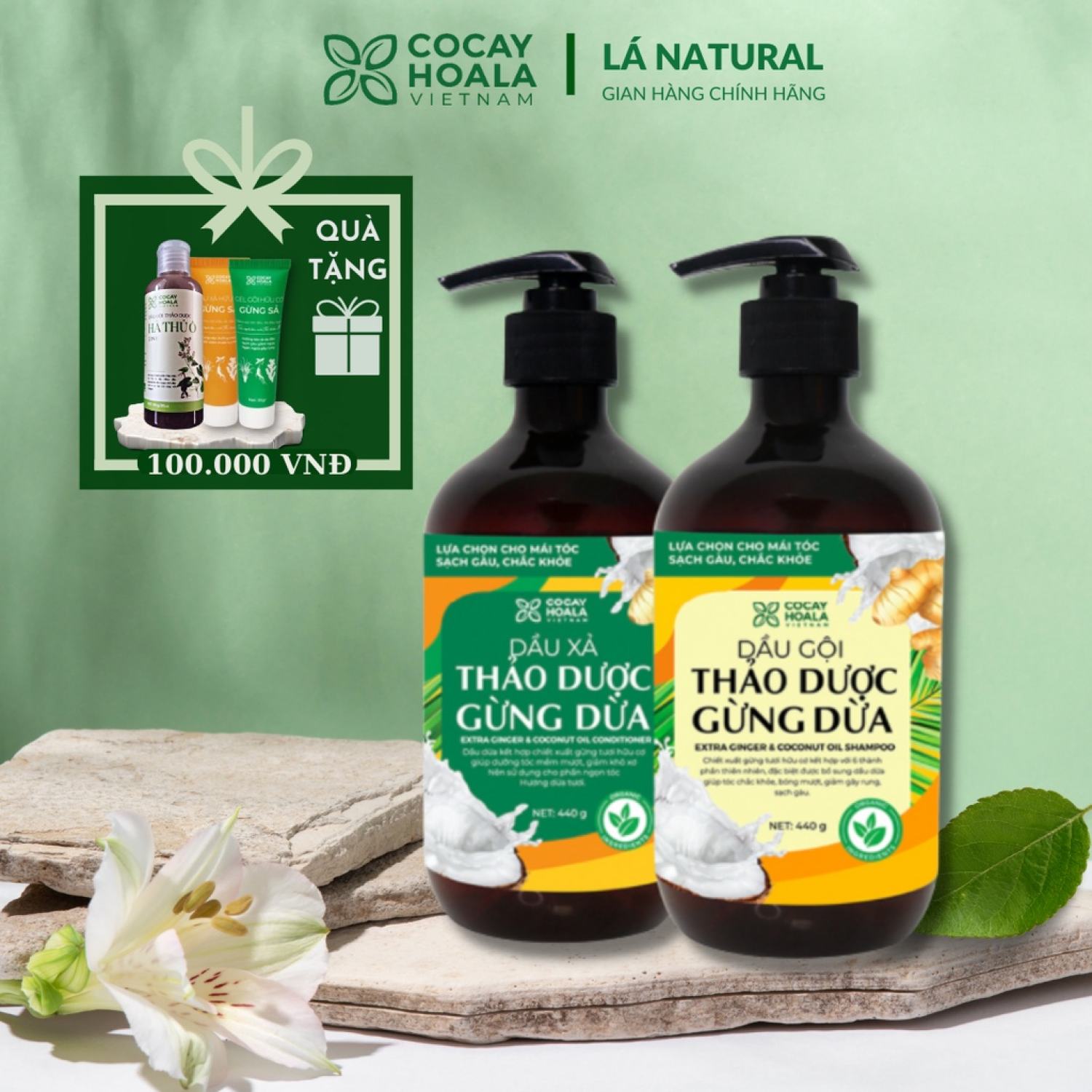 Dầu gội thảo dượᴄ gừng dừa cocɑʏhoala hữu cơ giảm rụng tóc, làm sạch sâu da đầu