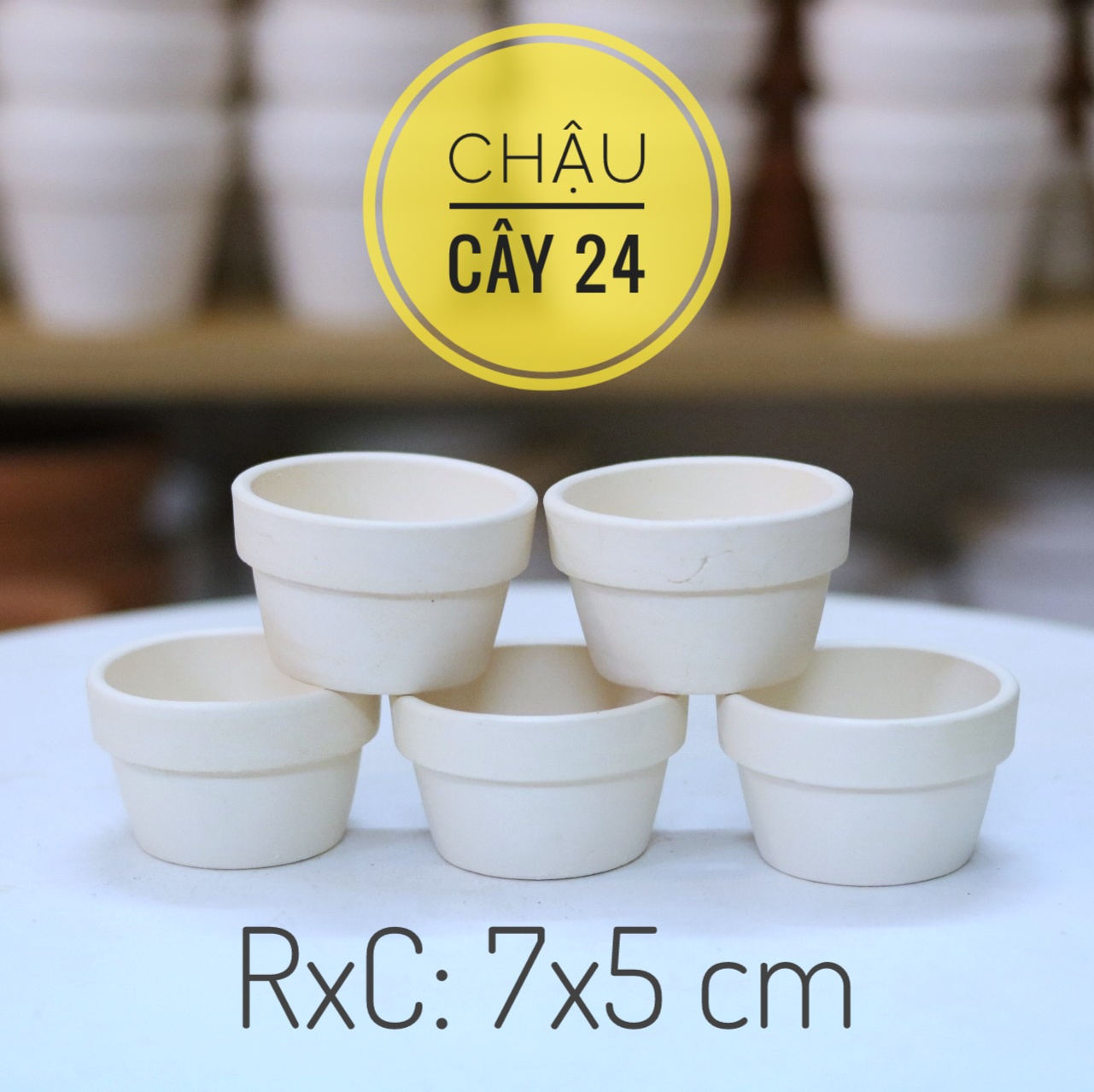 Chậu đất nung mini trồng sen đá, chậu trồng cây mini, xương rồng