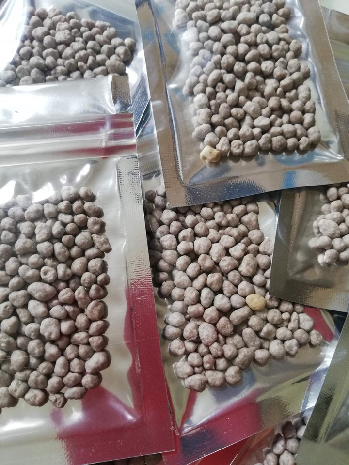 [HCM]Phân bón chì tan chậm chuyên dụng cho cây xương rồng